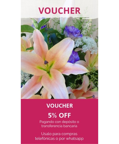 Voucher