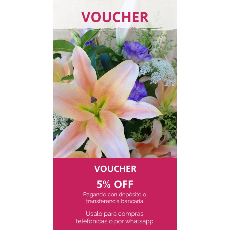 Voucher